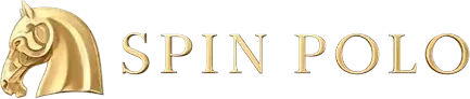 Spinpolo