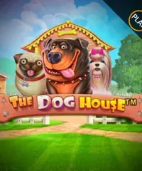 The Dog House van Pragmatic Play bij Spinpolo